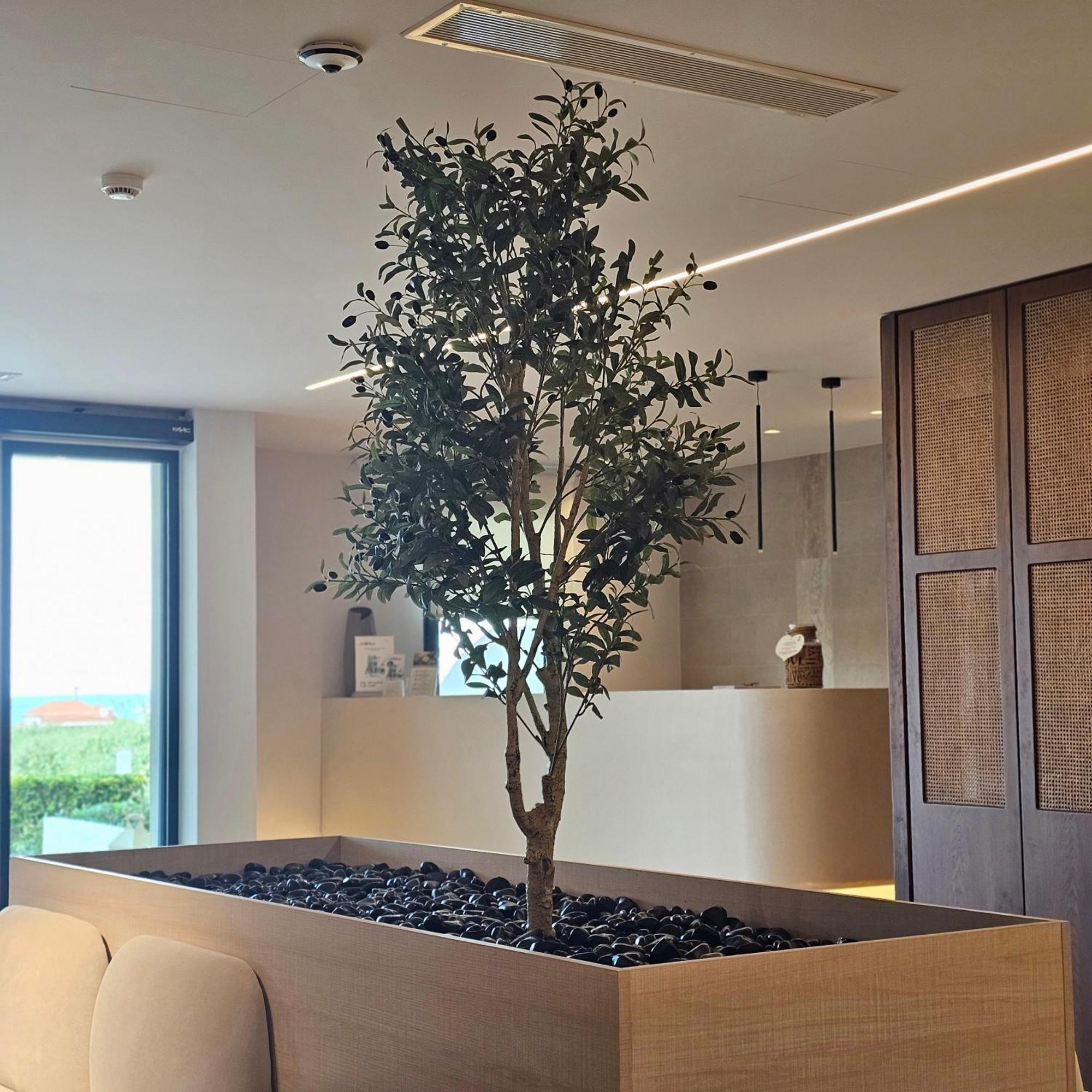 Ocean Beach Hotel 스칼라 포타미아스 외부 사진
